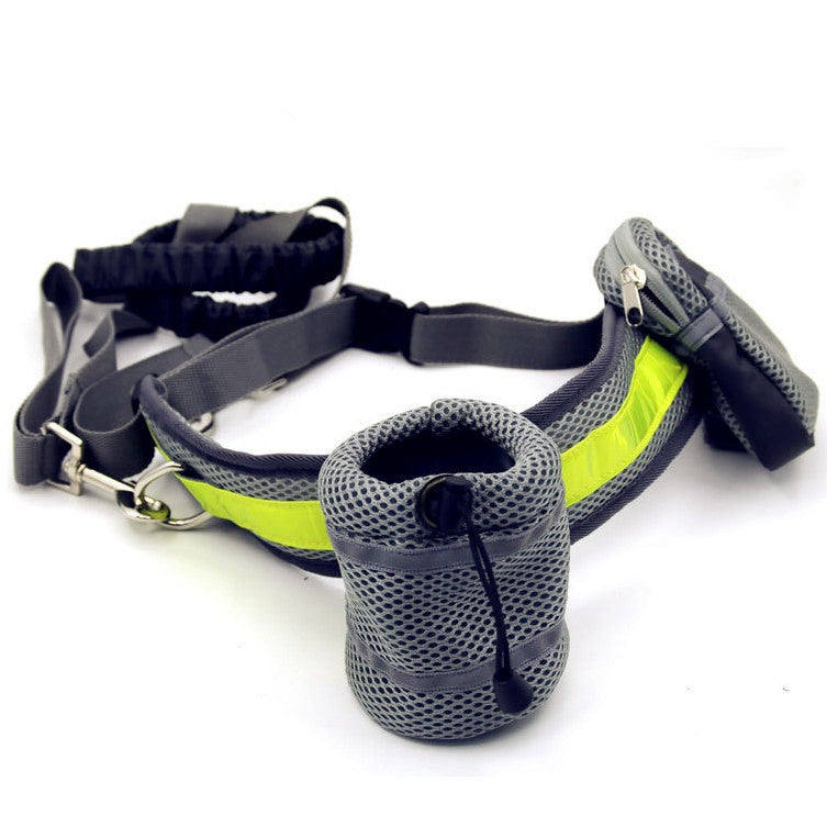 waist leash for dogs