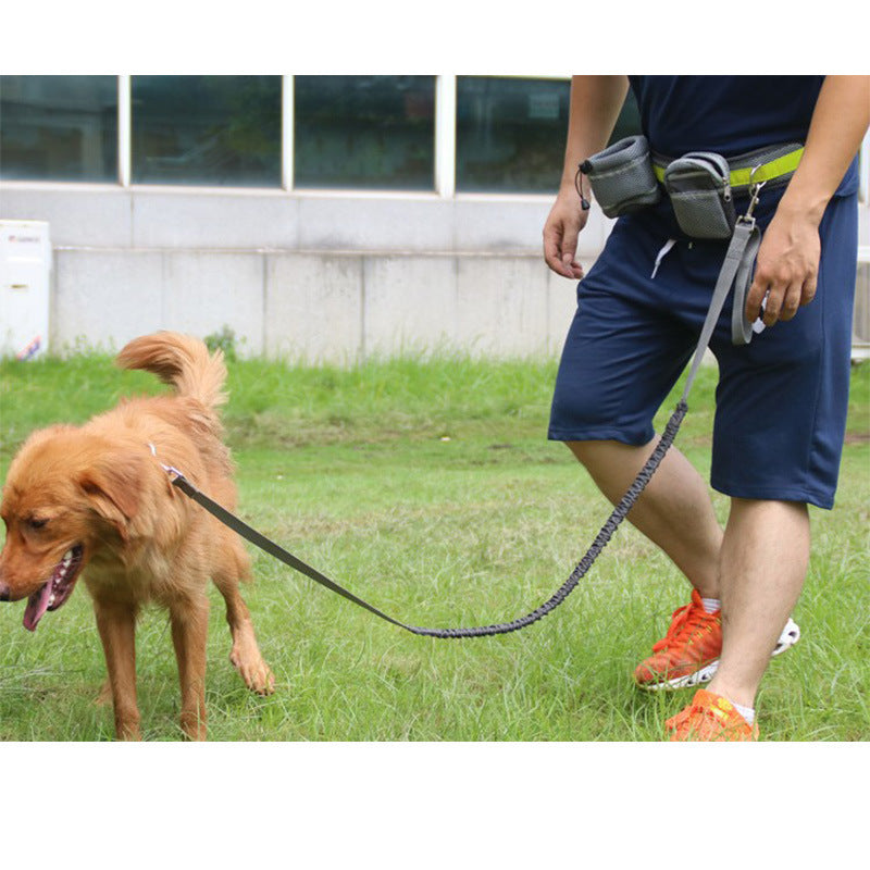 waist leash for dogs