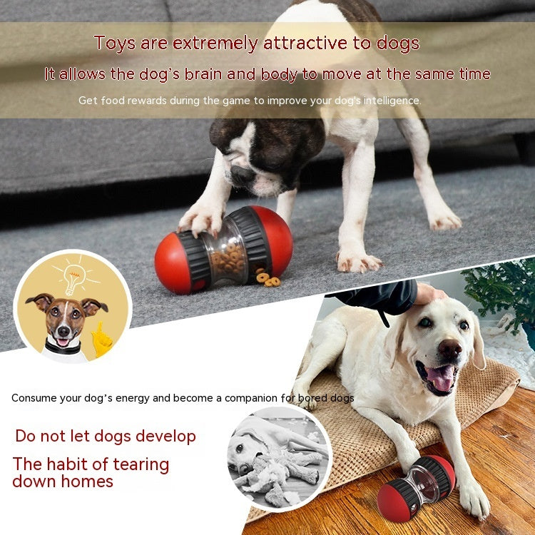 Interactive Dog Toy