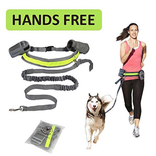 waist leash for dogs
