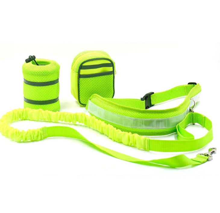 waist leash for dogs