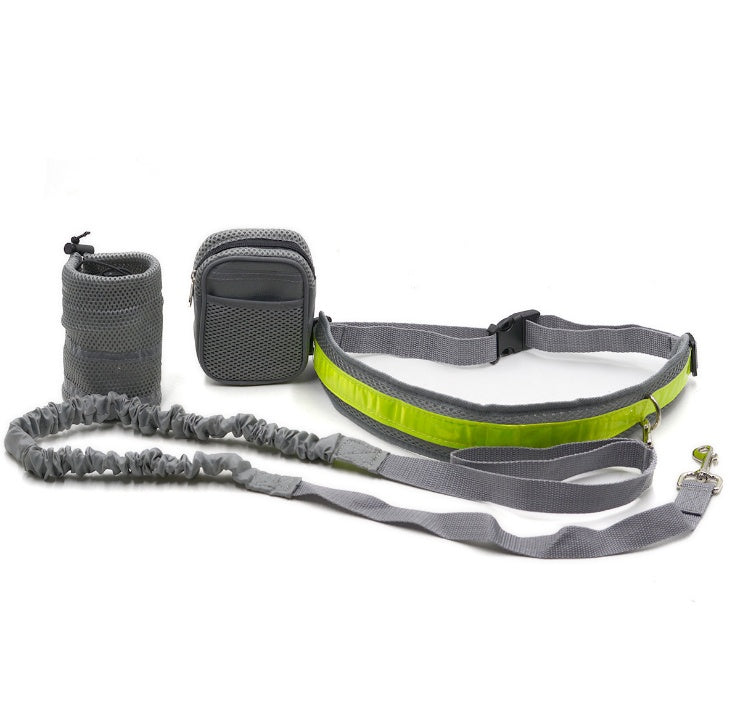 waist leash for dogs
