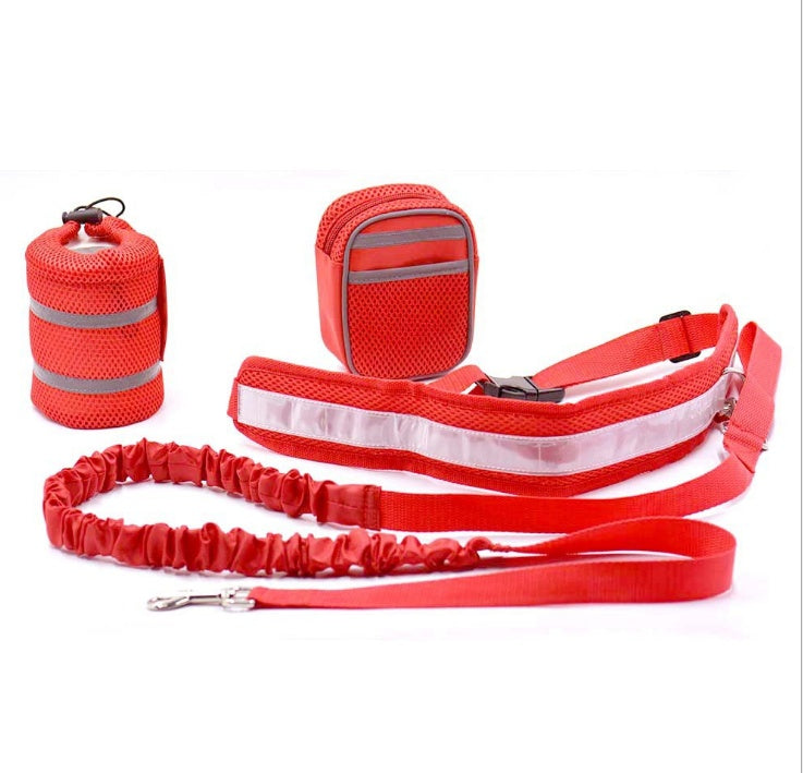 waist leash for dogs