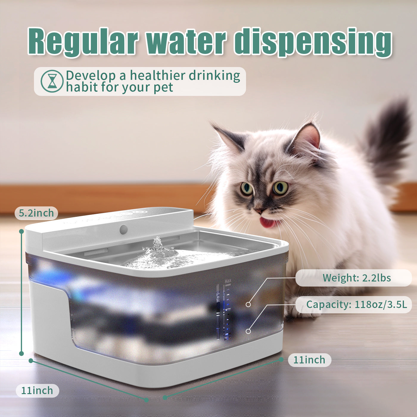 Water Dispenser