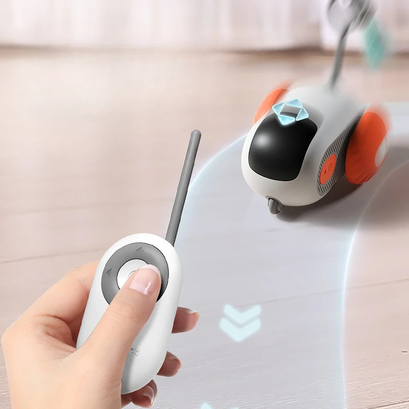 Interactive Remote Control Cat Toy